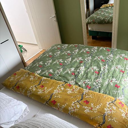 Apartman Diana スレムスカ・ミトロヴィツァ エクステリア 写真