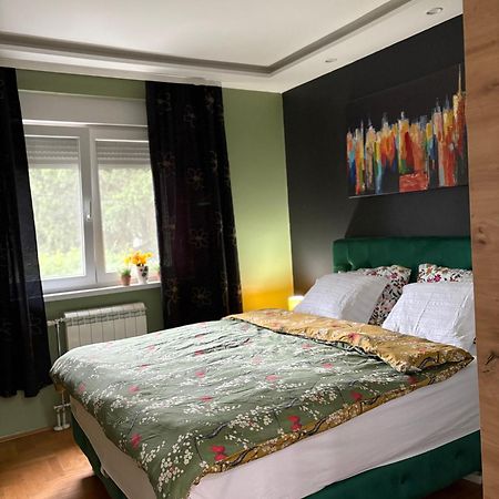 Apartman Diana スレムスカ・ミトロヴィツァ エクステリア 写真
