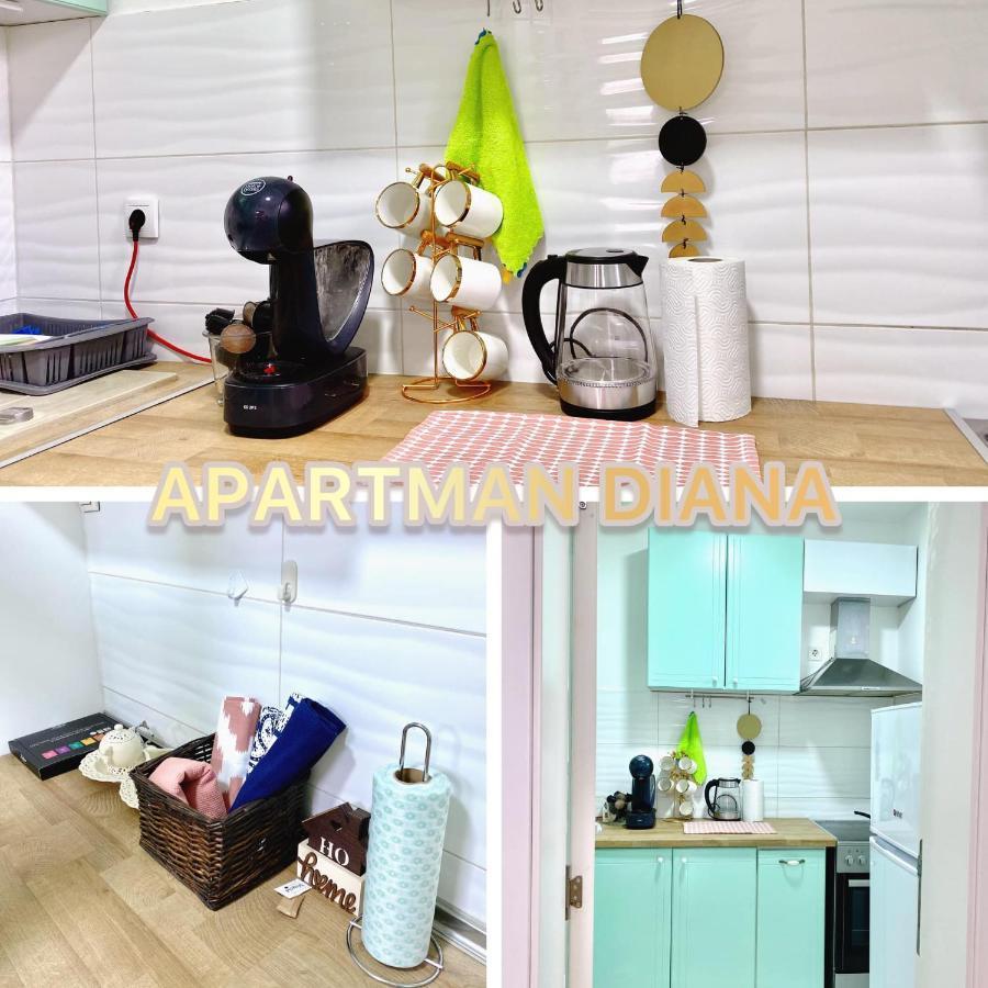 Apartman Diana スレムスカ・ミトロヴィツァ エクステリア 写真