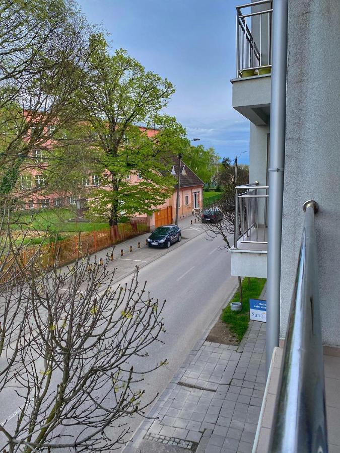 Apartman Diana スレムスカ・ミトロヴィツァ エクステリア 写真