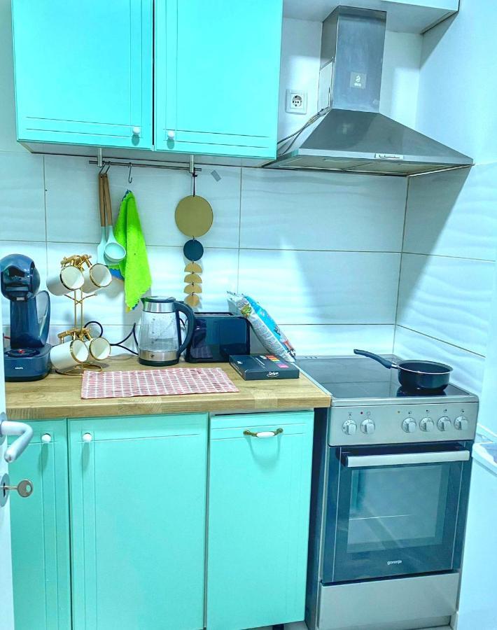 Apartman Diana スレムスカ・ミトロヴィツァ エクステリア 写真