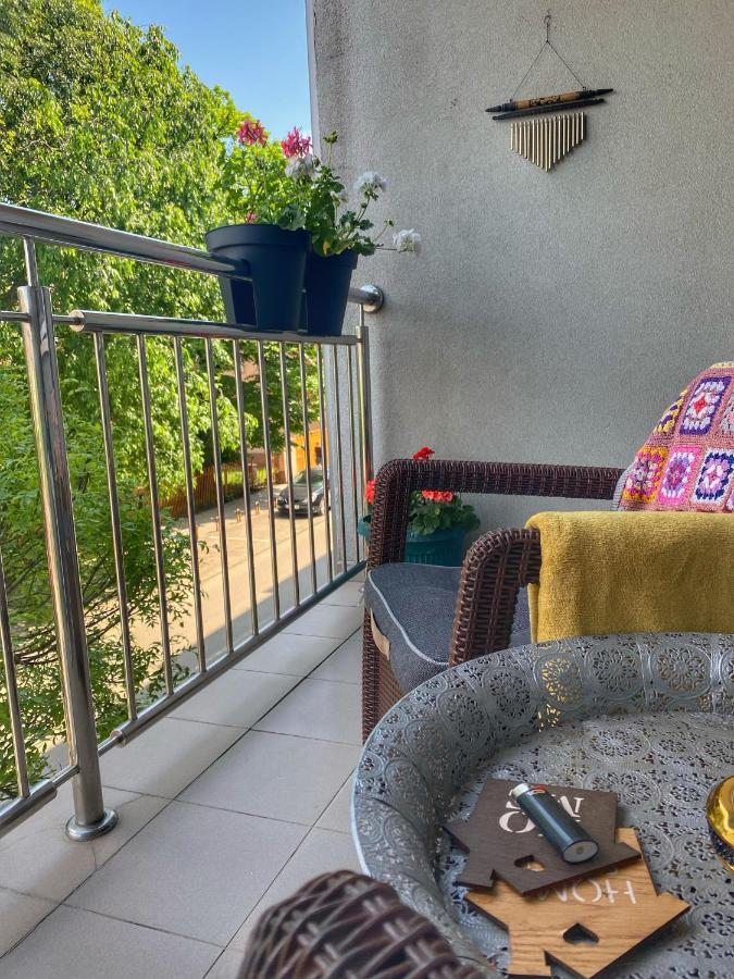 Apartman Diana スレムスカ・ミトロヴィツァ エクステリア 写真