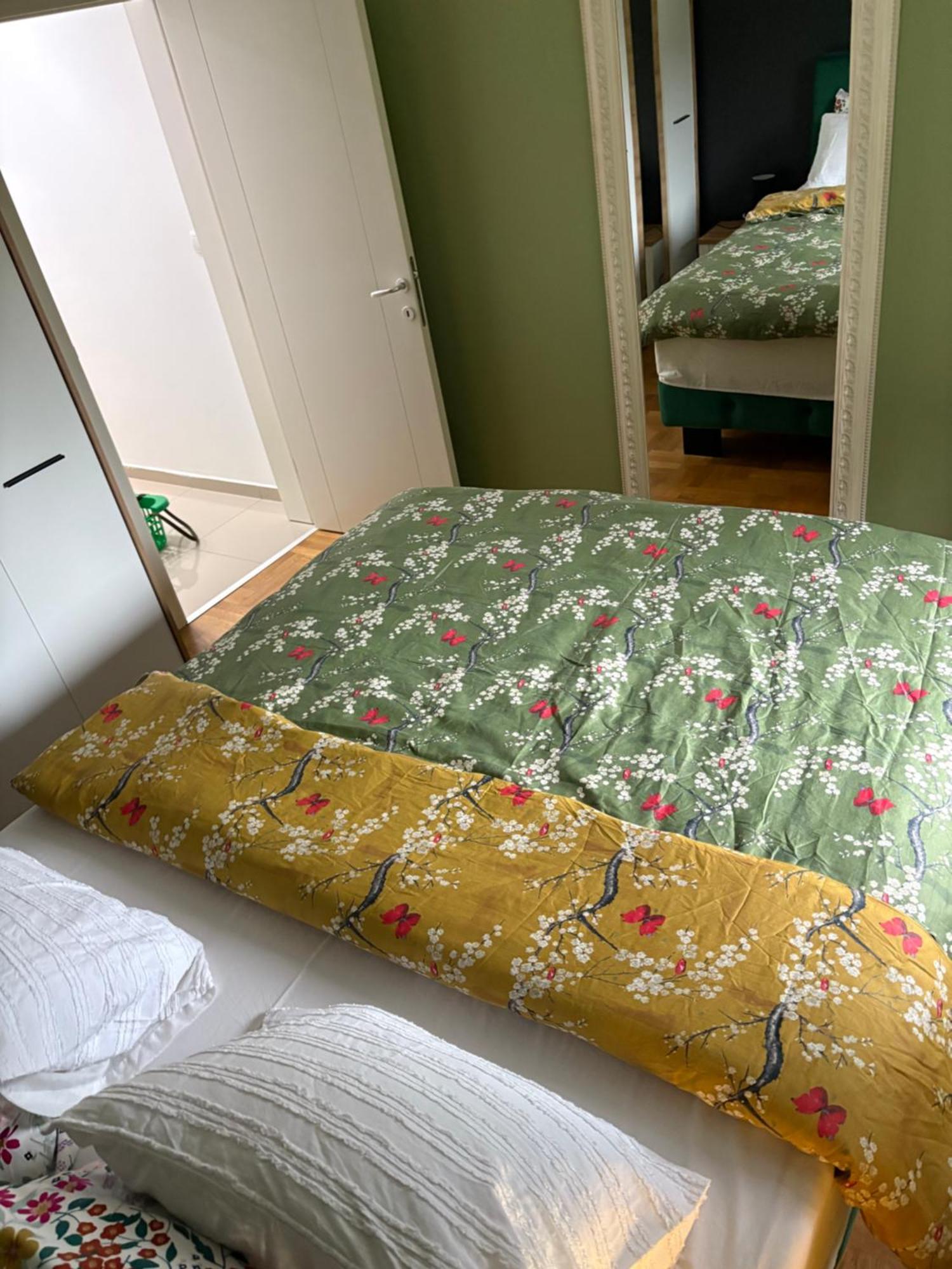 Apartman Diana スレムスカ・ミトロヴィツァ エクステリア 写真